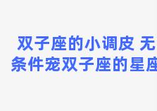 双子座的小调皮 无条件宠双子座的星座